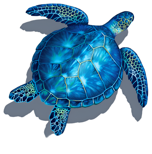 Blue Turtle with shadow