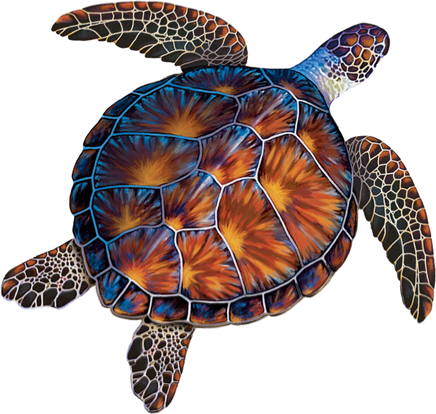 Brown Turtle