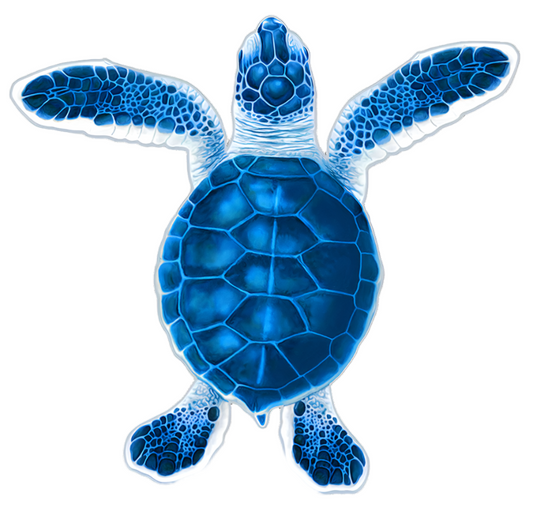 Turtle Hatchling A - Blue