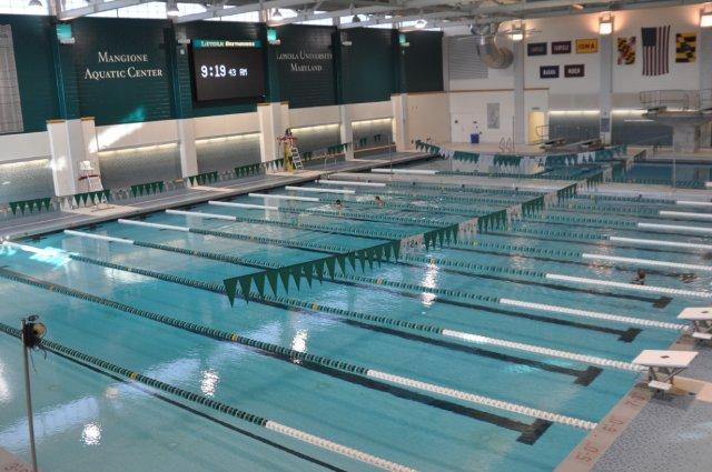 DIAMOND BRITE™ Marlin Blue