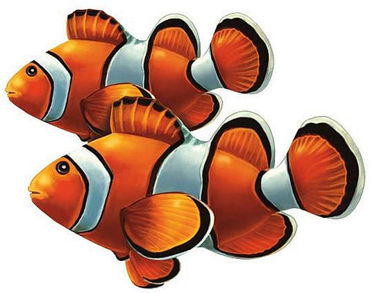 Clown Fish Double Porcelain Mosaic