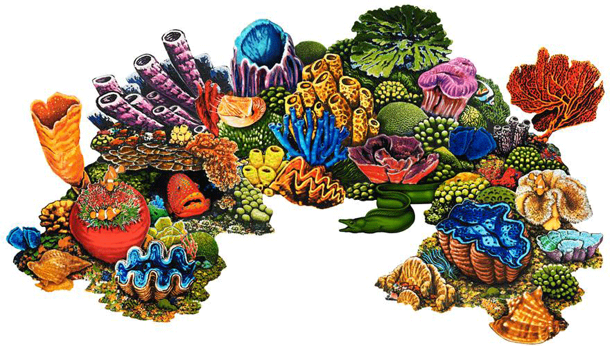 Coral Reef - A - Porcelain Mosaic