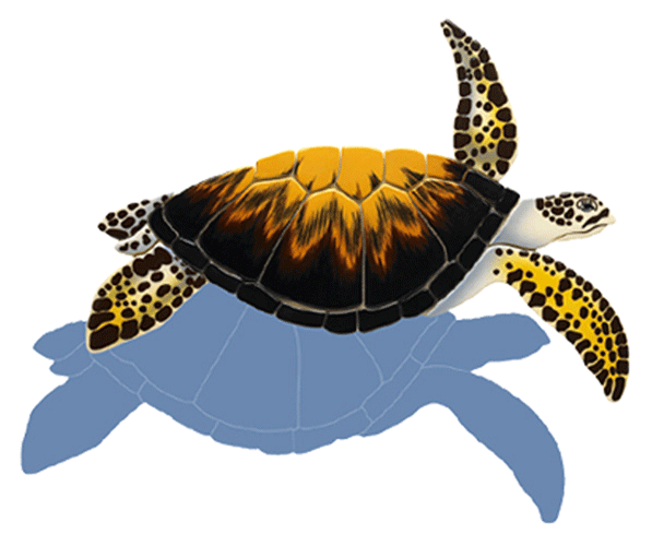 Loggerhead Turtle LT8 (with shadow) Ceramic Mosaic