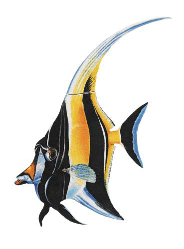 Moorish Idol Fish Porcelain Mosaic