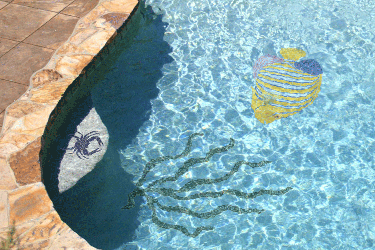 Regal Fish Reef Fish RF23 Ceramic Mosaic