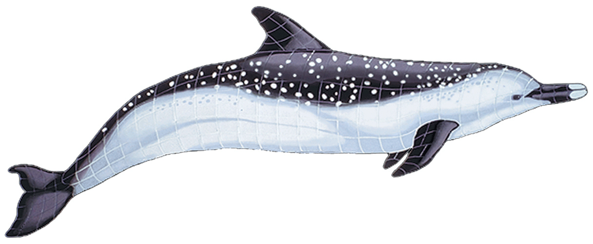 Spotted Dolphin SD4 Ceramic Mosaic