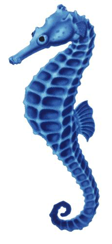 Blue Seahorse Porcelain Mosaic – National Pool Supply Distributors