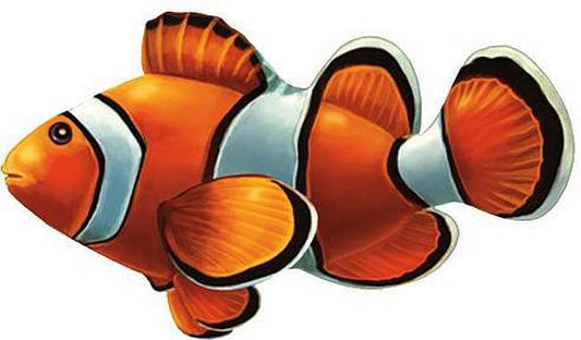 Clown Fish Porcelain Mosaic