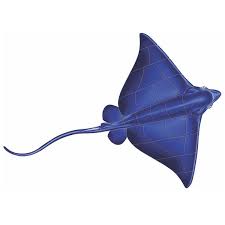 Blue Ray Porcelain Mosaic