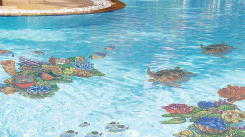 Loggerhead Turtle