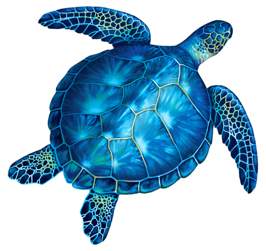 Blue Turtle