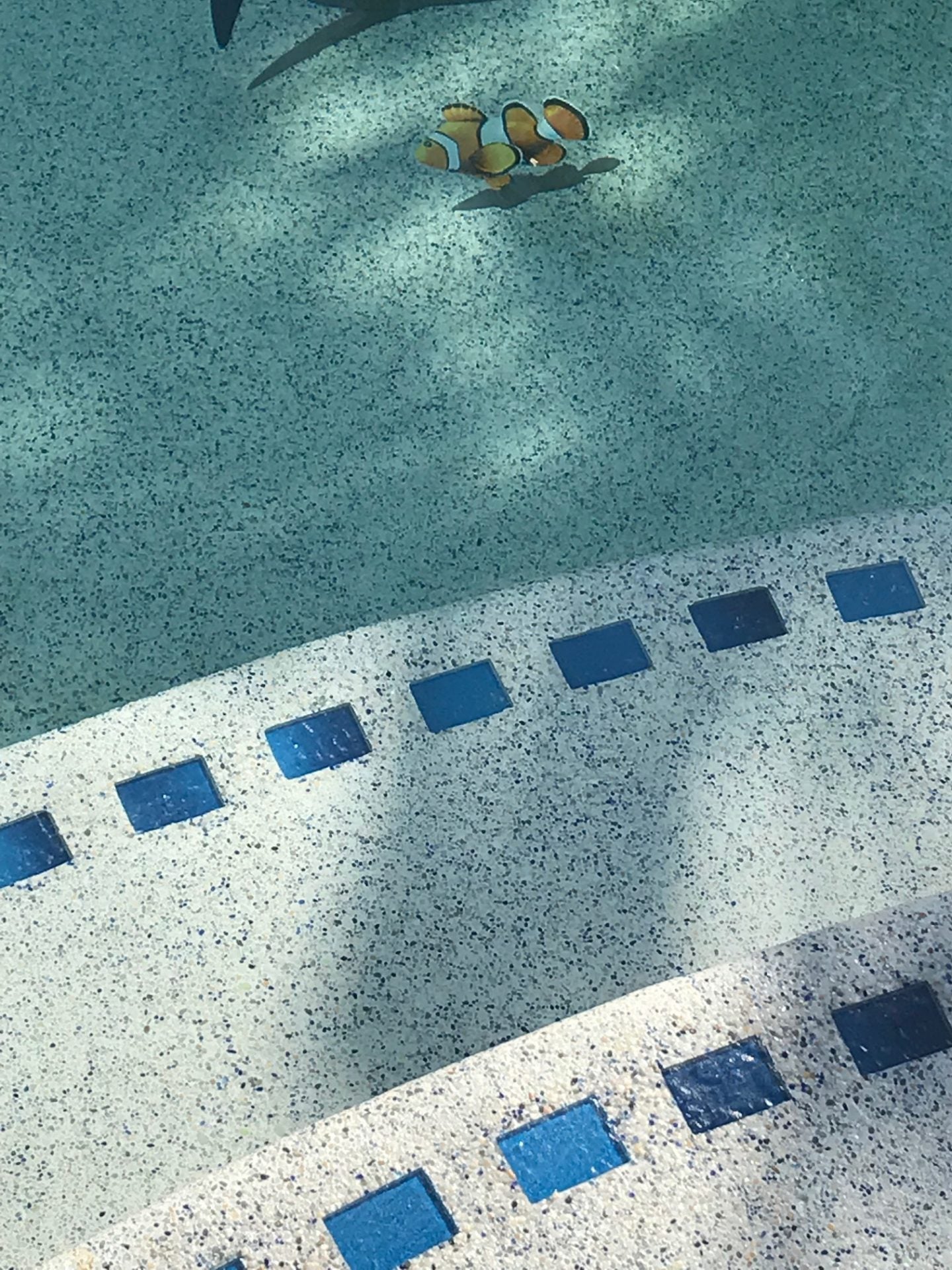 River Rok Serene Seas – National Pool Supply Distributors