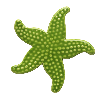 Starfish 102 Series Ceramic Mosaic
