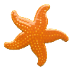Starfish 102 Series Ceramic Mosaic