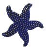 Starfish 102 Series Ceramic Mosaic