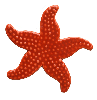 Starfish 102 Series Ceramic Mosaic