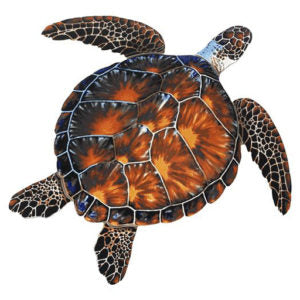 Brown Turtle Porcelain Mosaics