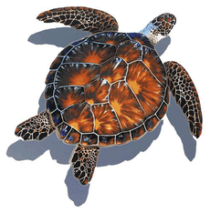 Brown Turtle (with shadow) Porcelain Mosaic