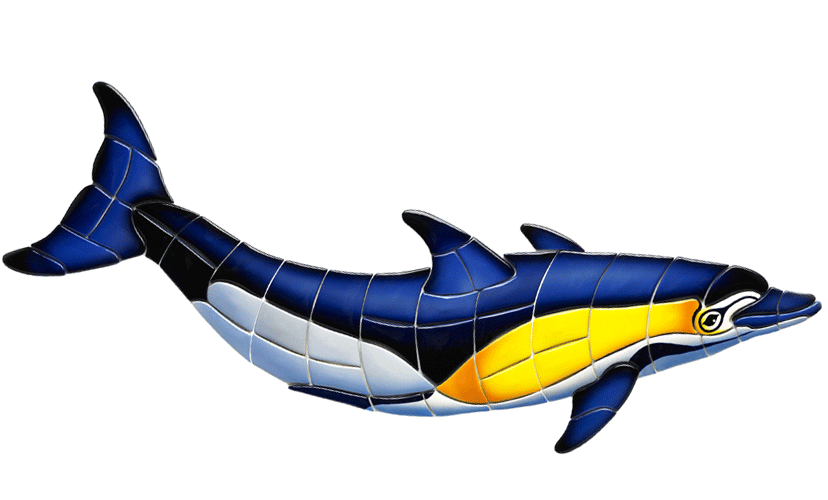 Common Dolphin-B-CD Ceramic Mosaic