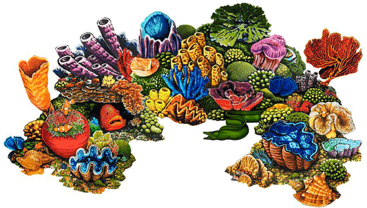 Coral Reef - A - Porcelain Mosaic