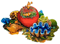 Coral Reef - B - Porcelain Mosaic