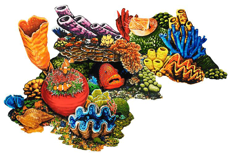 Coral Reef - C - Porcelain Mosaic