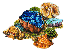 Coral Reef -D- Porcelain Mosaic
