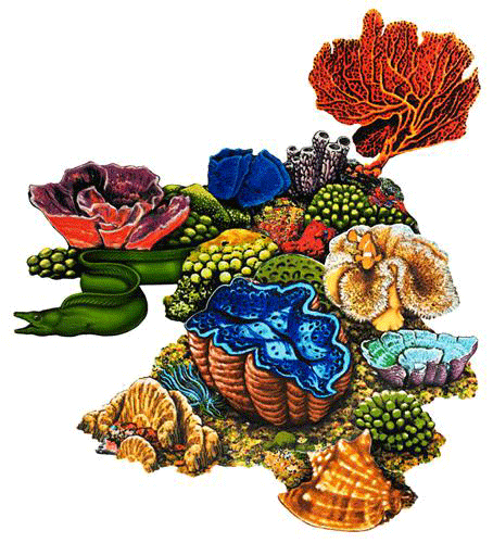 Coral Reef -E- Porcelain Mosaic