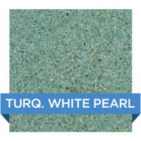 CrystalStones Smooth Turquoise Pearl