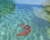 Coral Grouper Reef Fish CG76 Ceramic Mosaic
