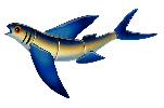 Flying Fish B- FF46R (Reverse) Ceramic Mosaic