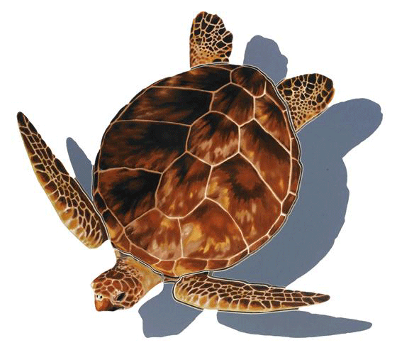 Loggerhead Turtle (with shadow) Porcelain Mosaics