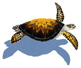 Loggerhead Turtle LT8 (with shadow) Ceramic Mosaic