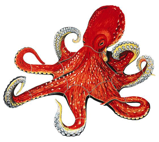 Octopus Porcelain Mosaic