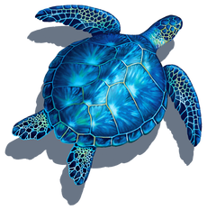 Blue Turtle (with shadow) Porcelain Mosaic