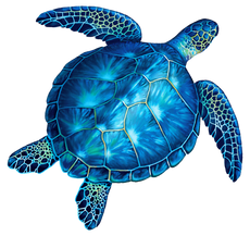 Blue Turtle Porcelain Mosaics