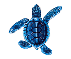Baby Turtle B-Blue Porcelain Mosaics