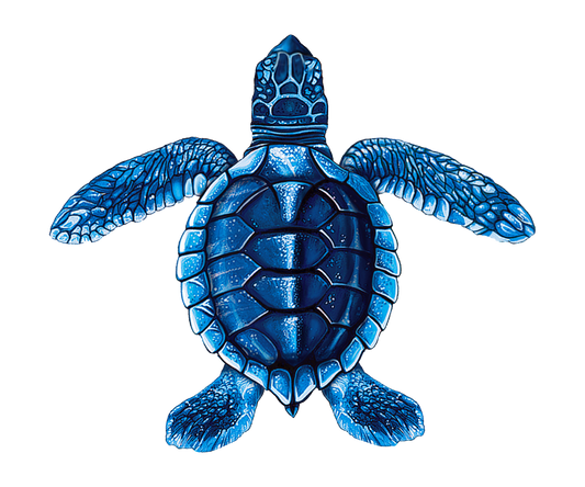 Baby Turtle C-Blue Porcelain Mosaics