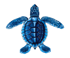 Baby Turtle C-Blue Porcelain Mosaics