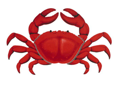 Red Crab Porcelain Mosaic