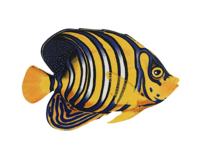 Regal Angelfish Porcelain Mosaic