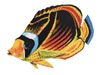 Raccoon Butterflyfish Porcelain Mosaic
