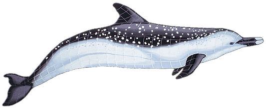 Spotted Dolphin SD4 Ceramic Mosaic