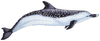 Spotted Dolphin SD4 Ceramic Mosaic