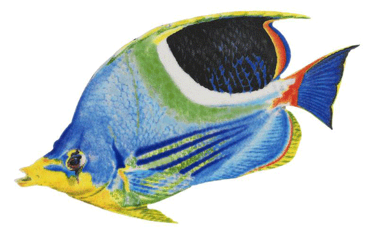 Saddled Butterflyfish Porcelain Mosaic