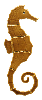 Single Seahorse SS17 Sea Life Ceramic Mosaic