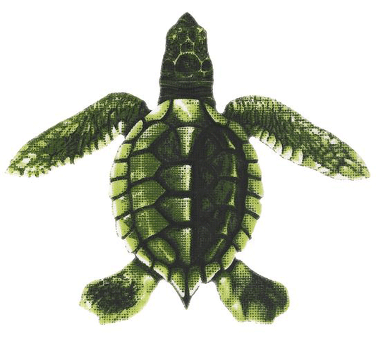 Baby Turtle C Porcelain Mosaic