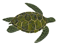Turtle Sideview T49 Ceramic Mosaic