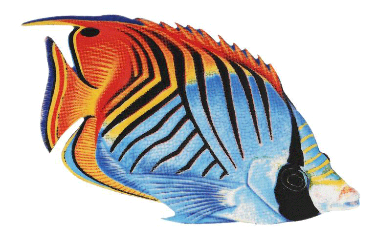Threadfin Butterflyfish Porcelain Mosaic