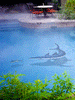 Shark S50GR/SH (with Shadow) Ceramic Mosaic